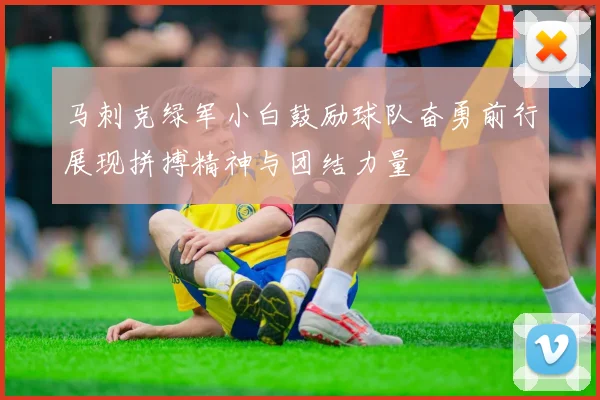 马刺克绿军小白鼓励球队奋勇前行展现拼搏精神与团结力量