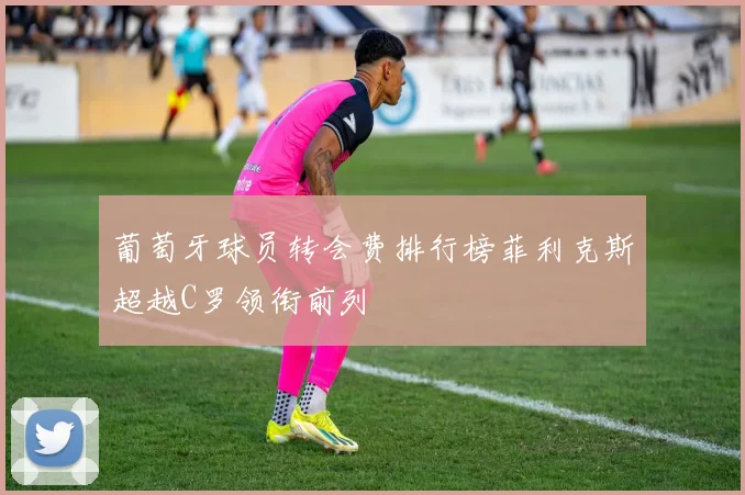 葡萄牙球员转会费排行榜菲利克斯超越C罗领衔前列